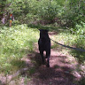 Meet your Posher, Theresa